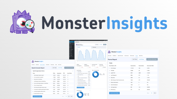 MonsterInsights Custom Banner