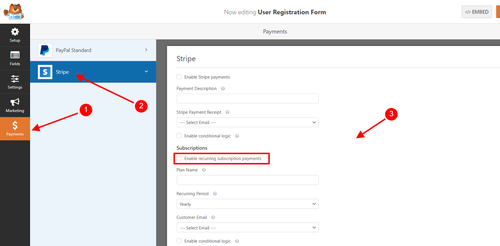 Enable Stripe Option On WPForms Form Builder