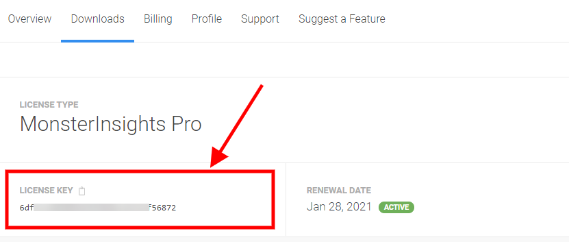 MonsterInsights Licence Key On Dashboard