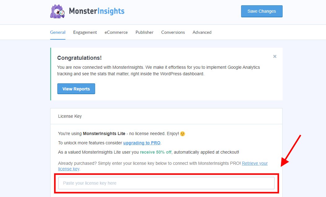 Paste MonsterInsights License Key