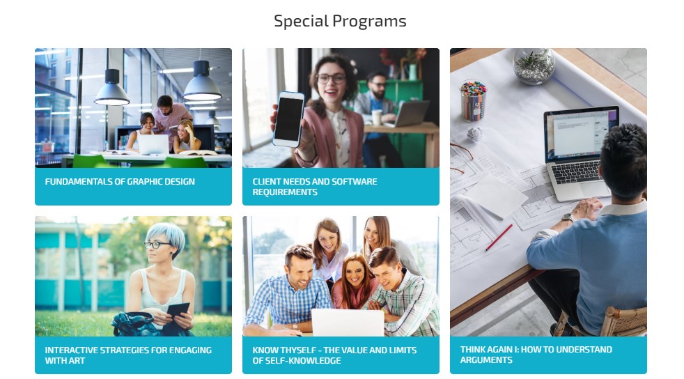 Elementor Online Course Website Special Program