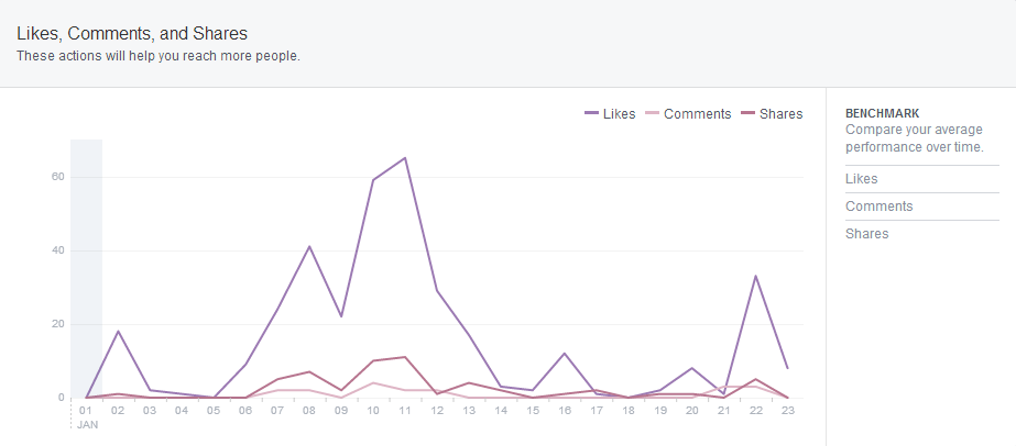 Facebook Insights Screenshot 2